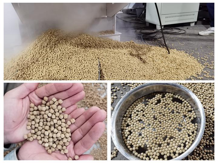 Fish feed pellets mill motor-type in South Africa